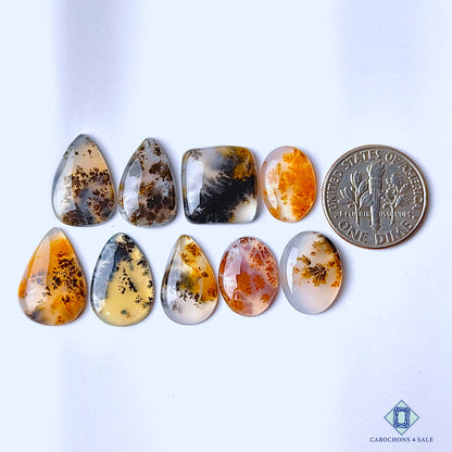 Dendritic Agate