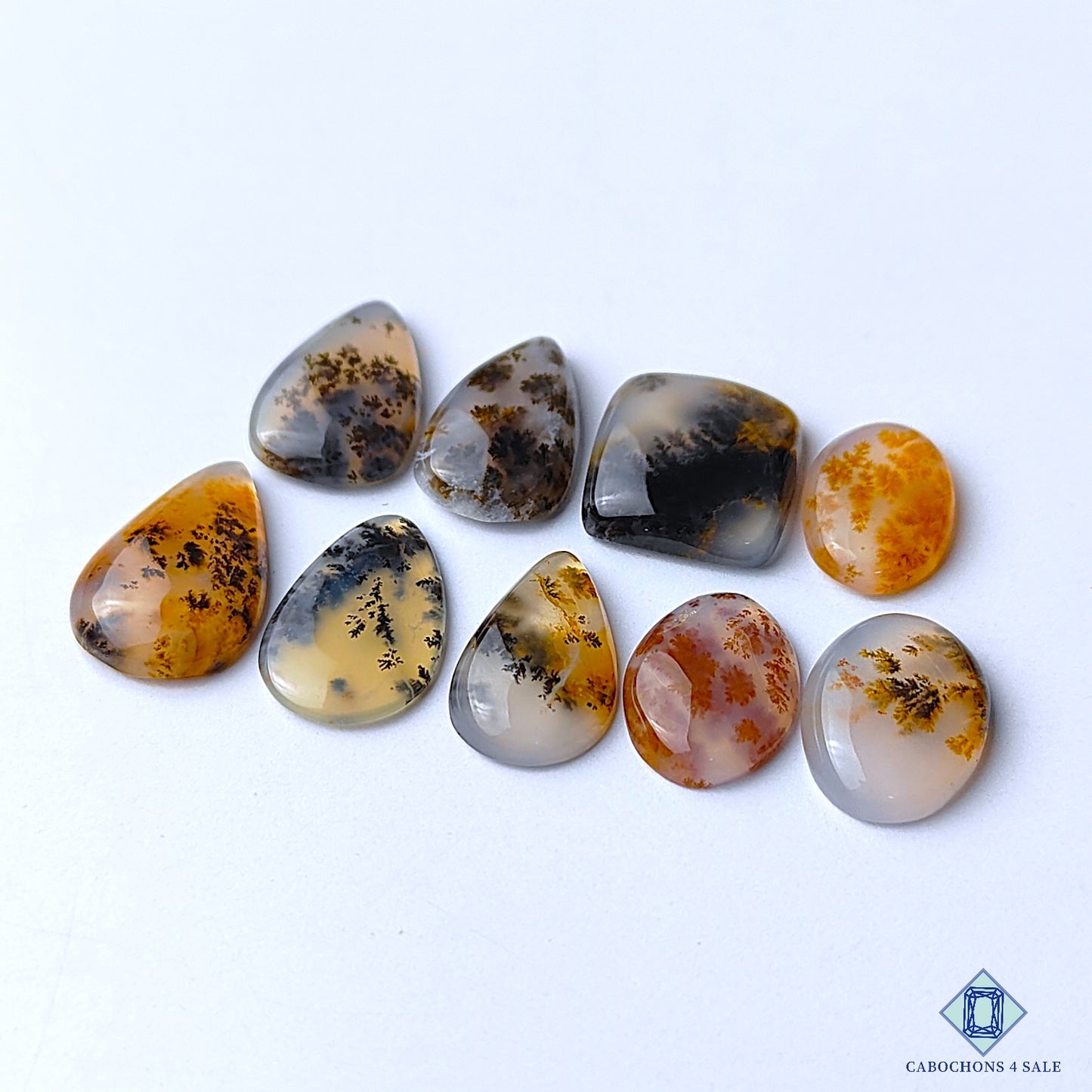 Dendritic Agate
