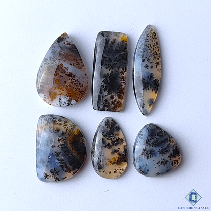 Dendritic Agate