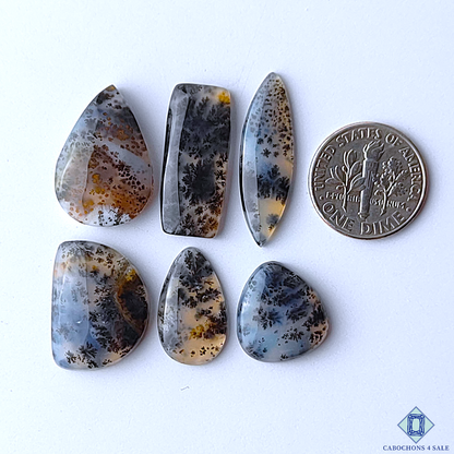 Dendritic Agate