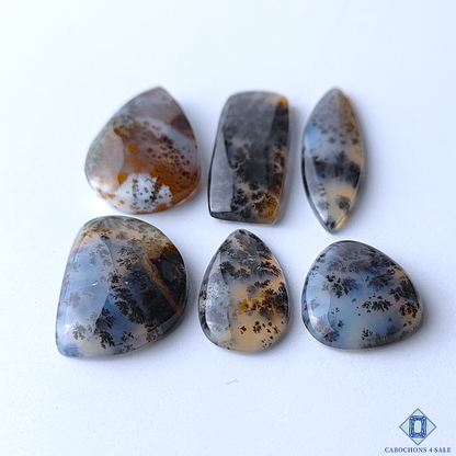 Dendritic Agate