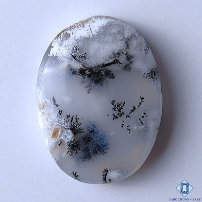 Dendritic Agate
