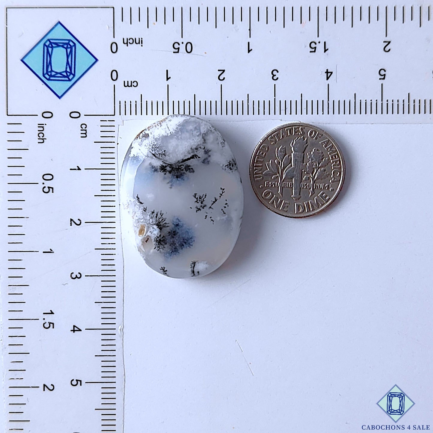 Dendritic Agate