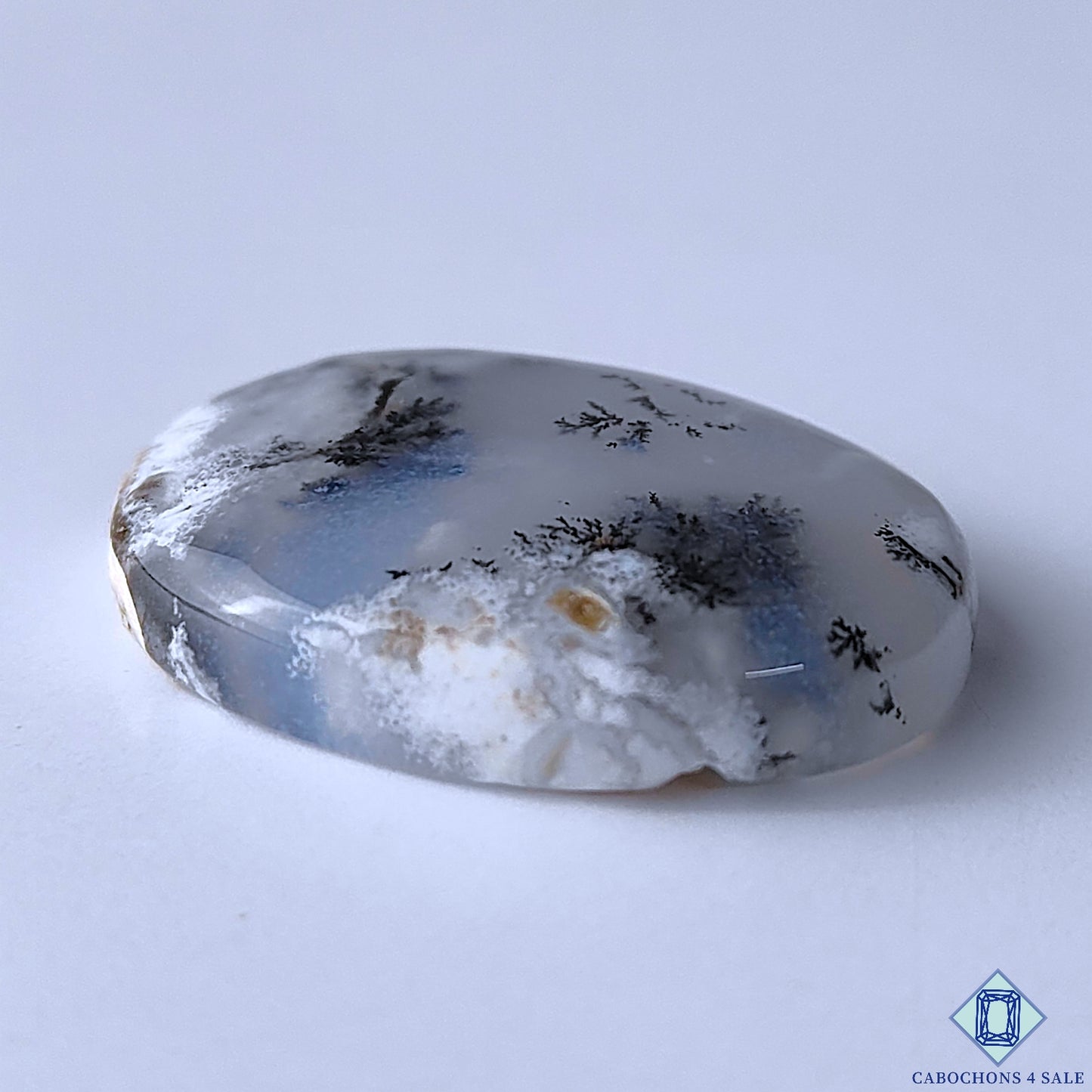 Dendritic Agate