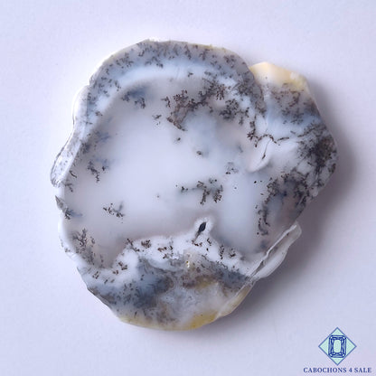 Dendritic Agate