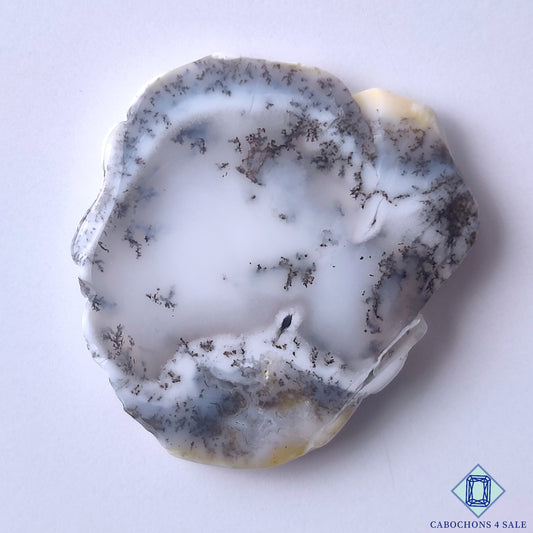 Dendritic Agate
