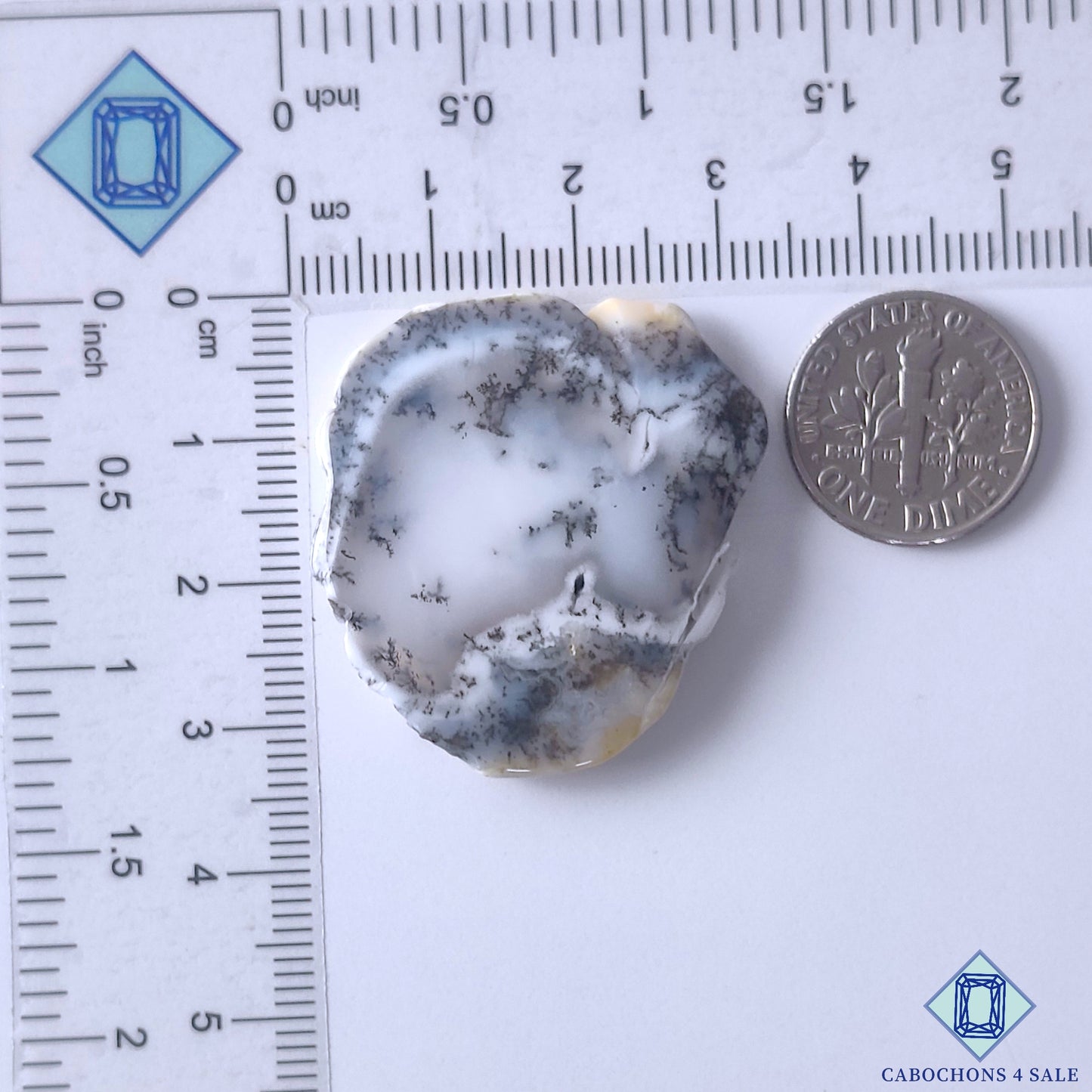 Dendritic Agate