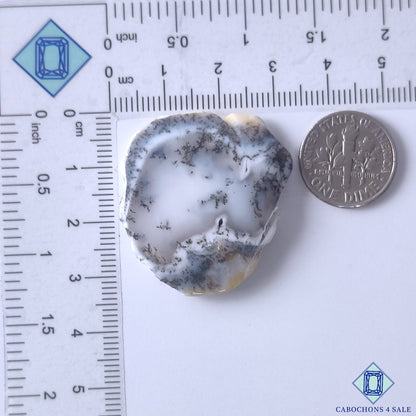 Dendritic Agate