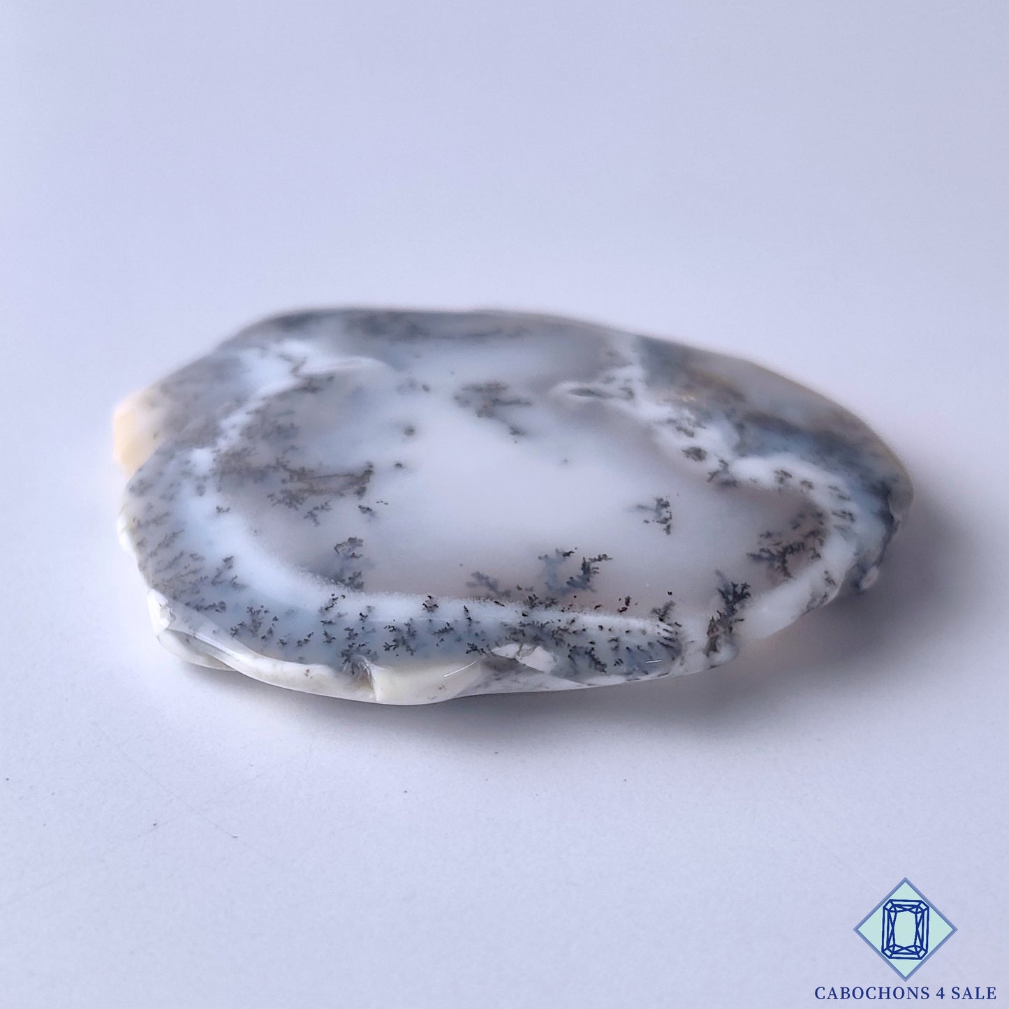 Dendritic Agate
