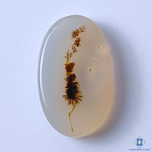 Dendritic Agate