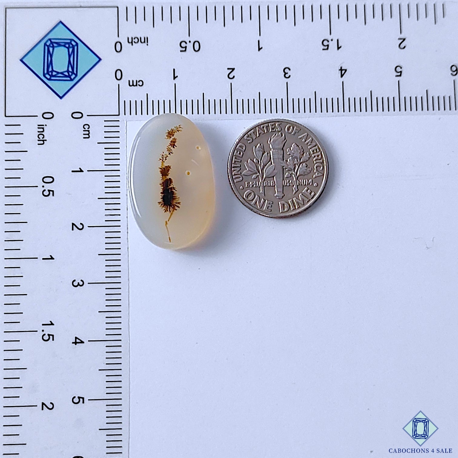 Dendritic Agate