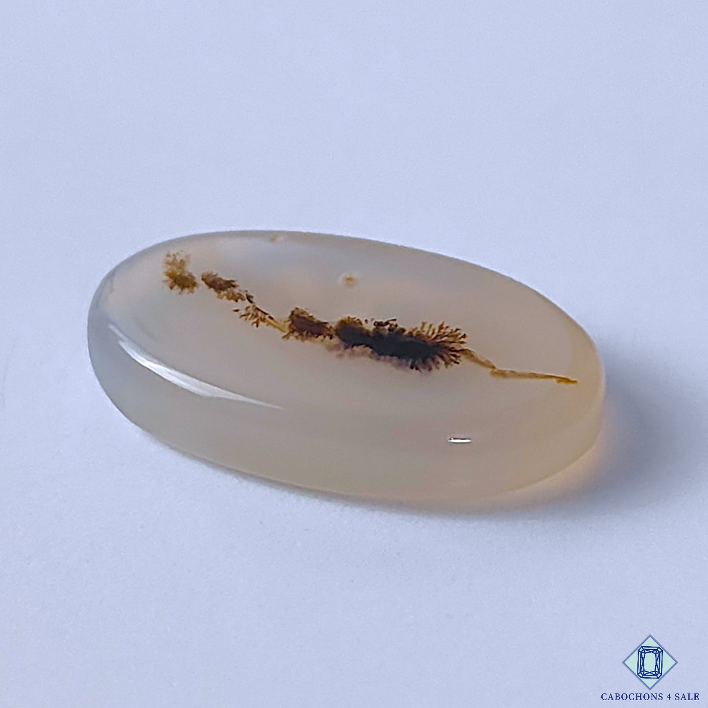 Dendritic Agate