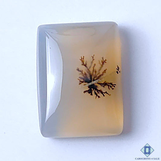 Dendritic Agate