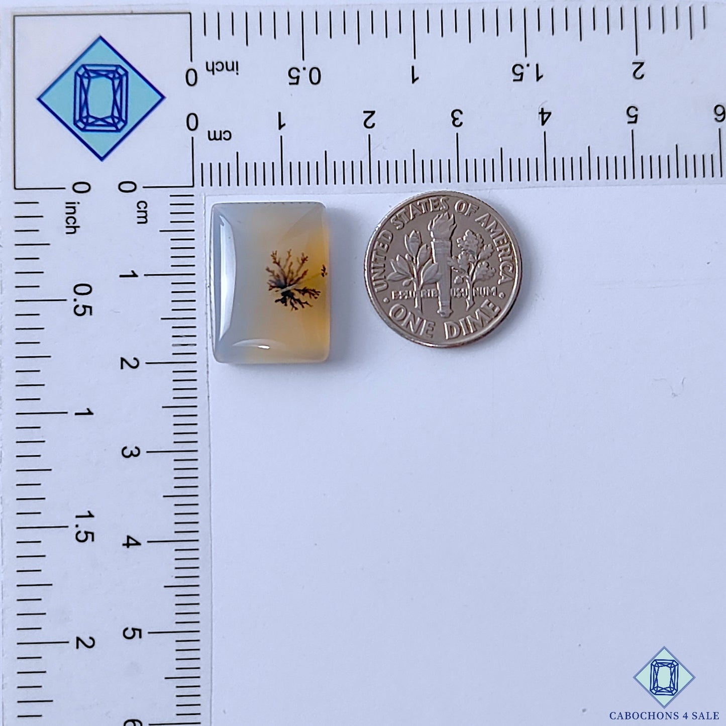 Dendritic Agate