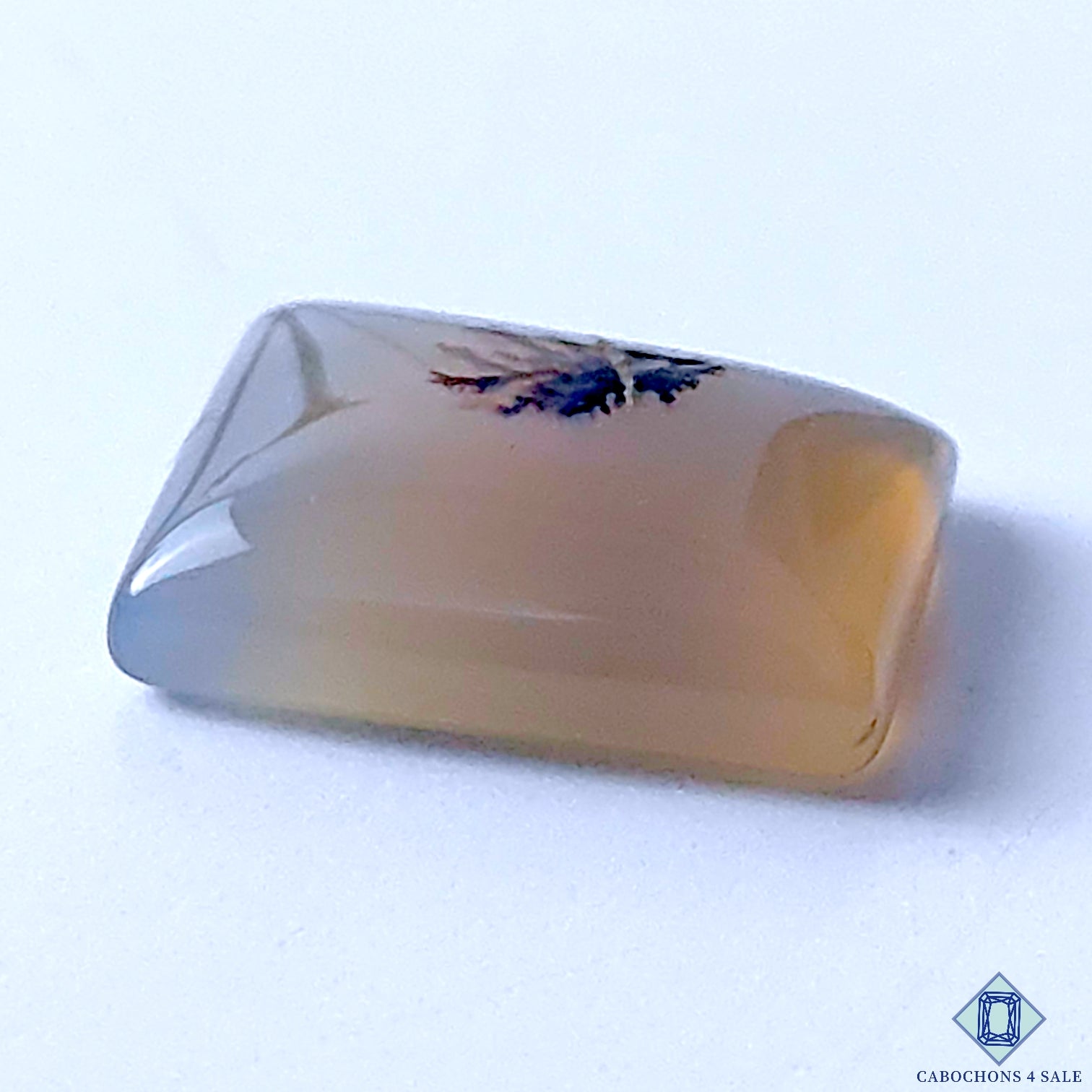 Dendritic Agate
