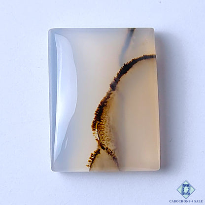 Dendritic Agate