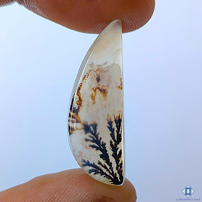 Dendritic Agate