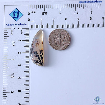 0-Dendritic_Agate-C4sw22943-2-Fancy-Brown-mm-Cabochons-Translucent-0
