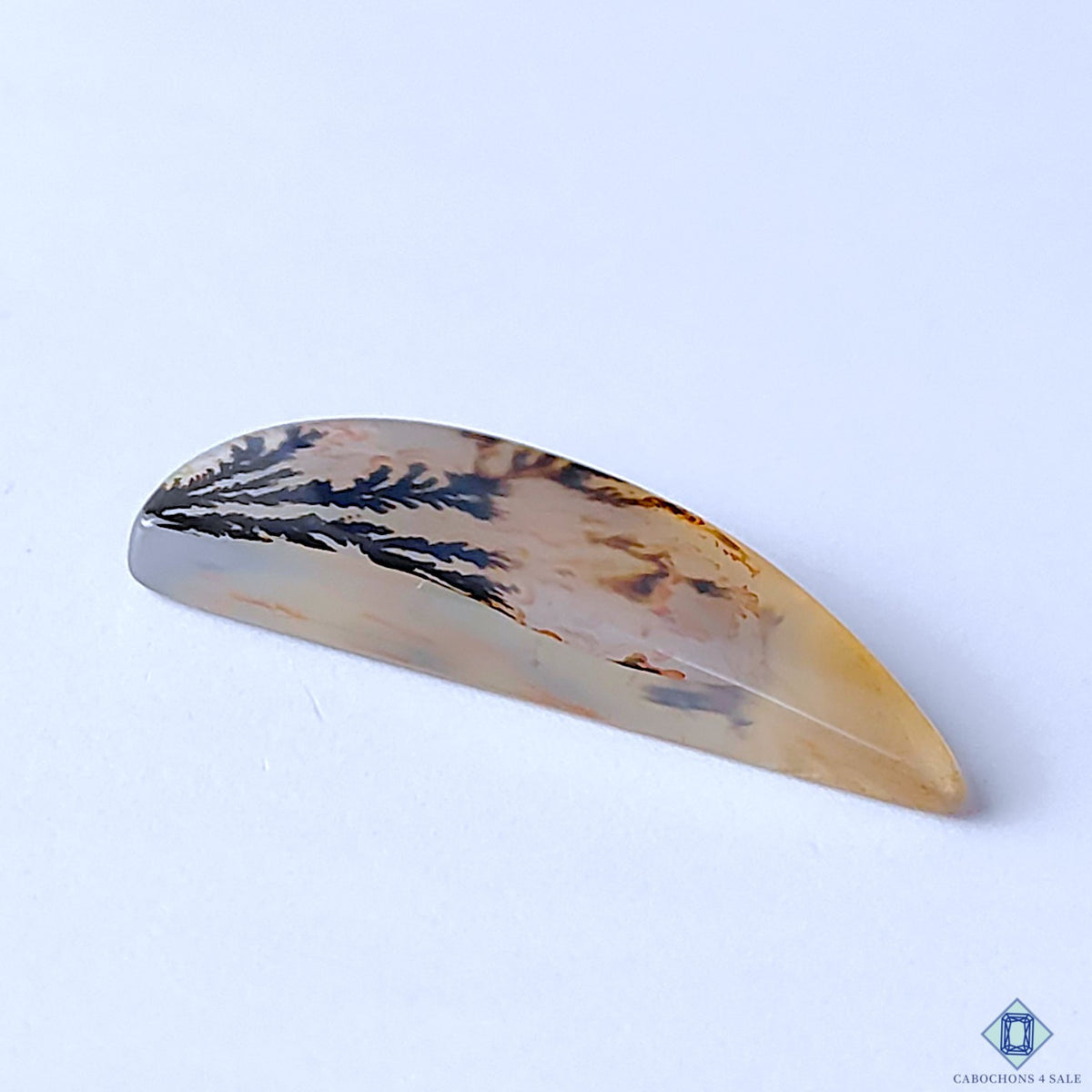 0-Dendritic_Agate-C4sw22943-3-Fancy-Brown-mm-Cabochons-Translucent-0