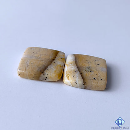 Dendritic Agate