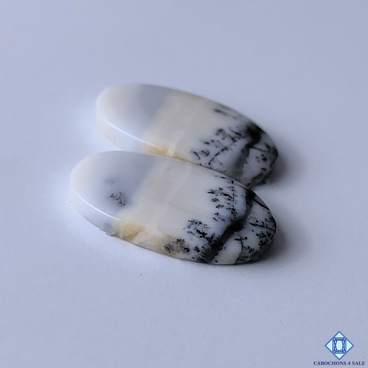 Dendritic Agate