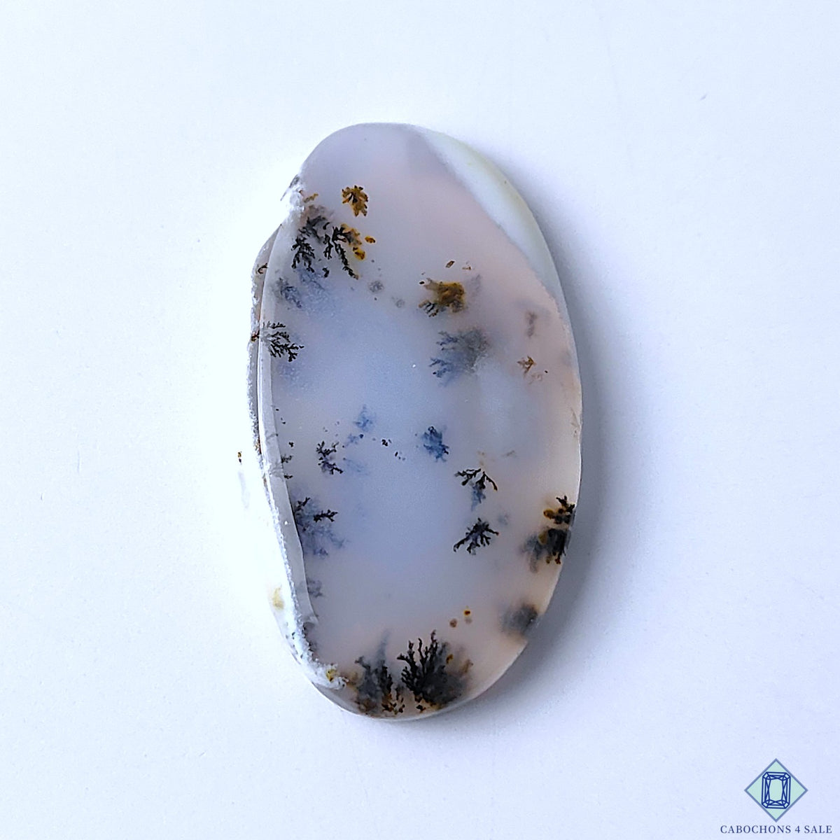 Dendritic Agate