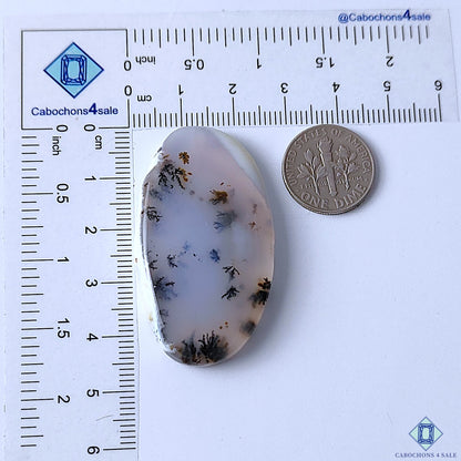 Dendritic Agate