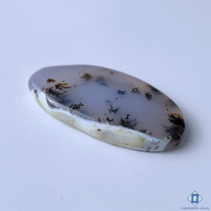 Dendritic Agate