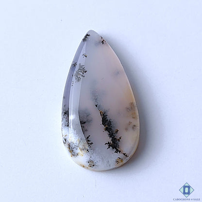 Dendritic Agate