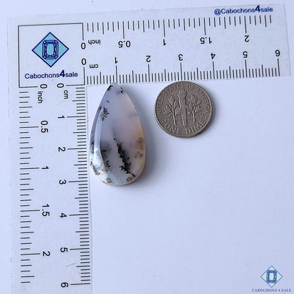 Dendritic Agate
