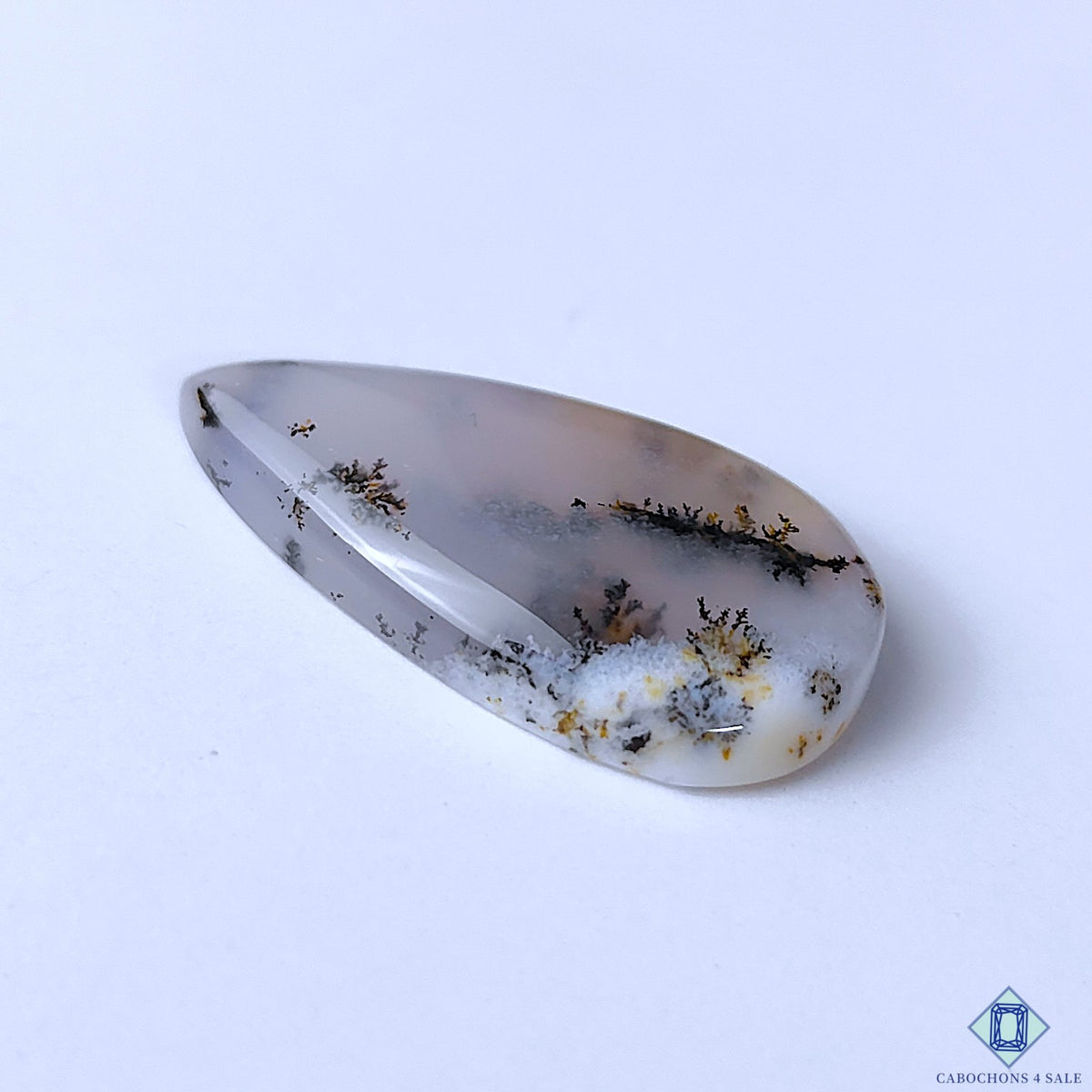 Dendritic Agate