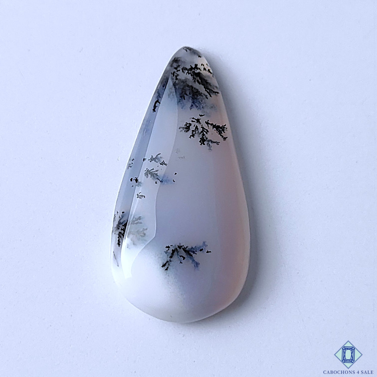 Dendritic Agate