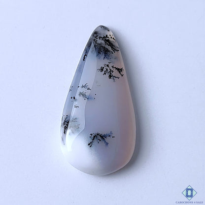 Dendritic Agate