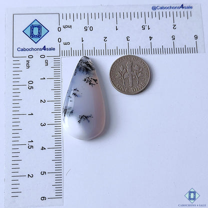 Dendritic Agate