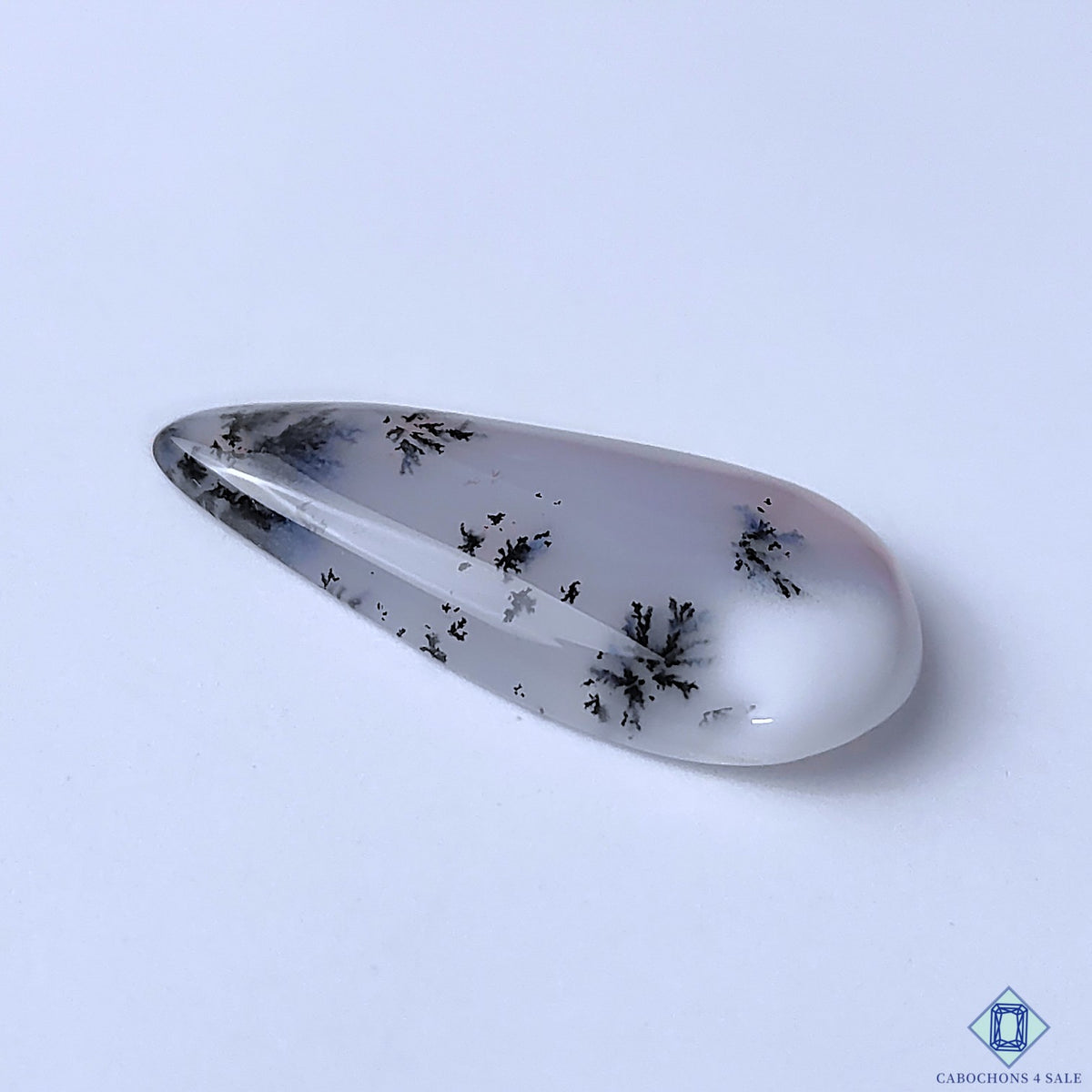 Dendritic Agate
