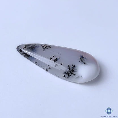 Dendritic Agate