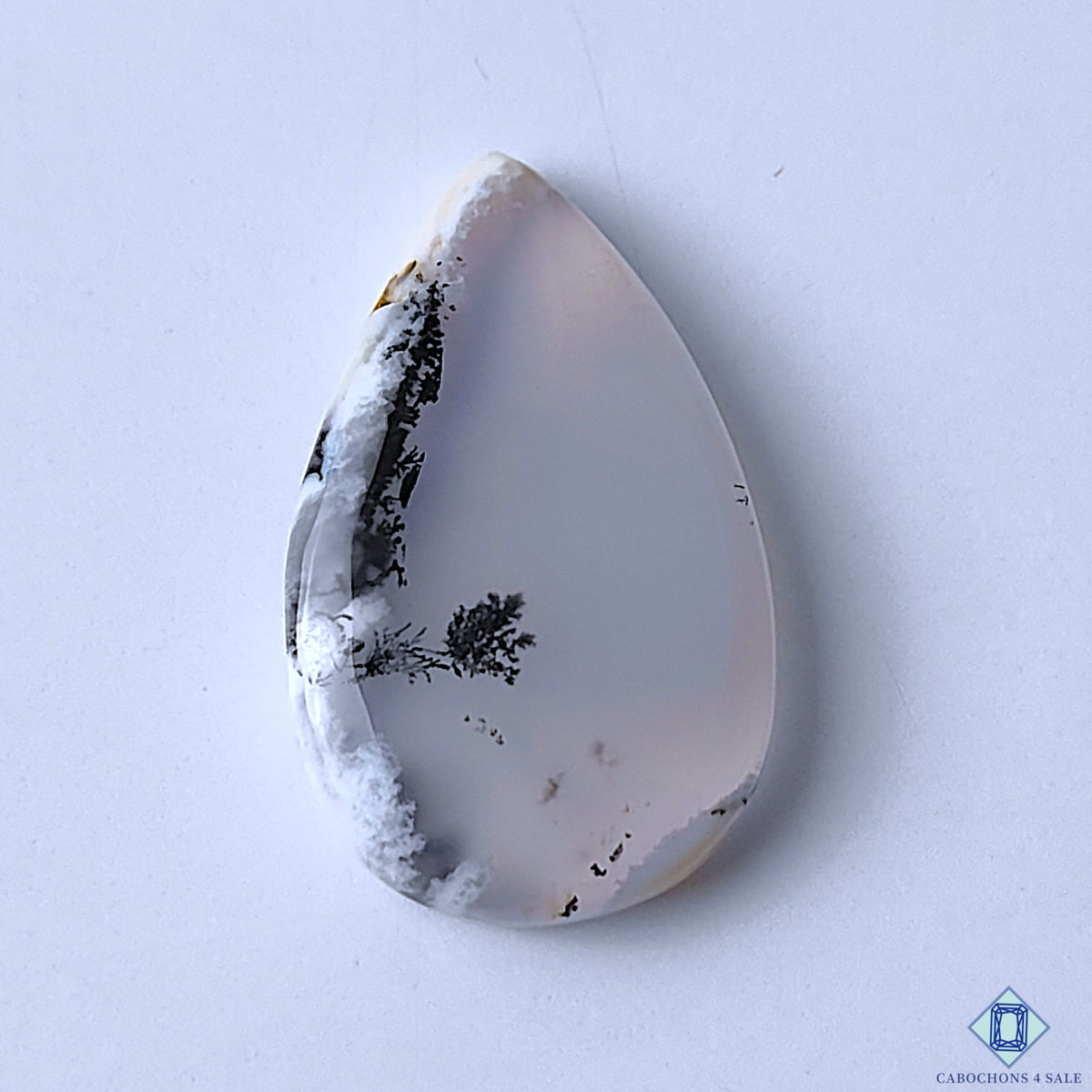 Dendritic Agate