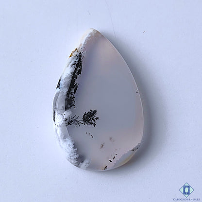 Dendritic Agate