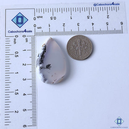 Dendritic Agate