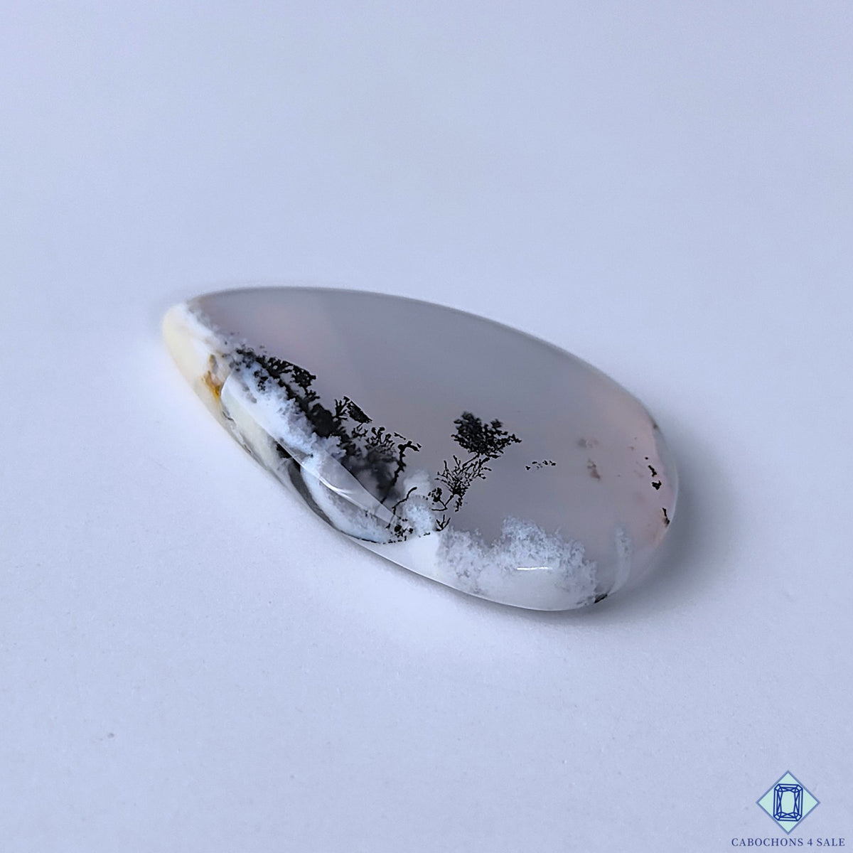 Dendritic Agate