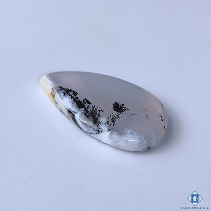 Dendritic Agate
