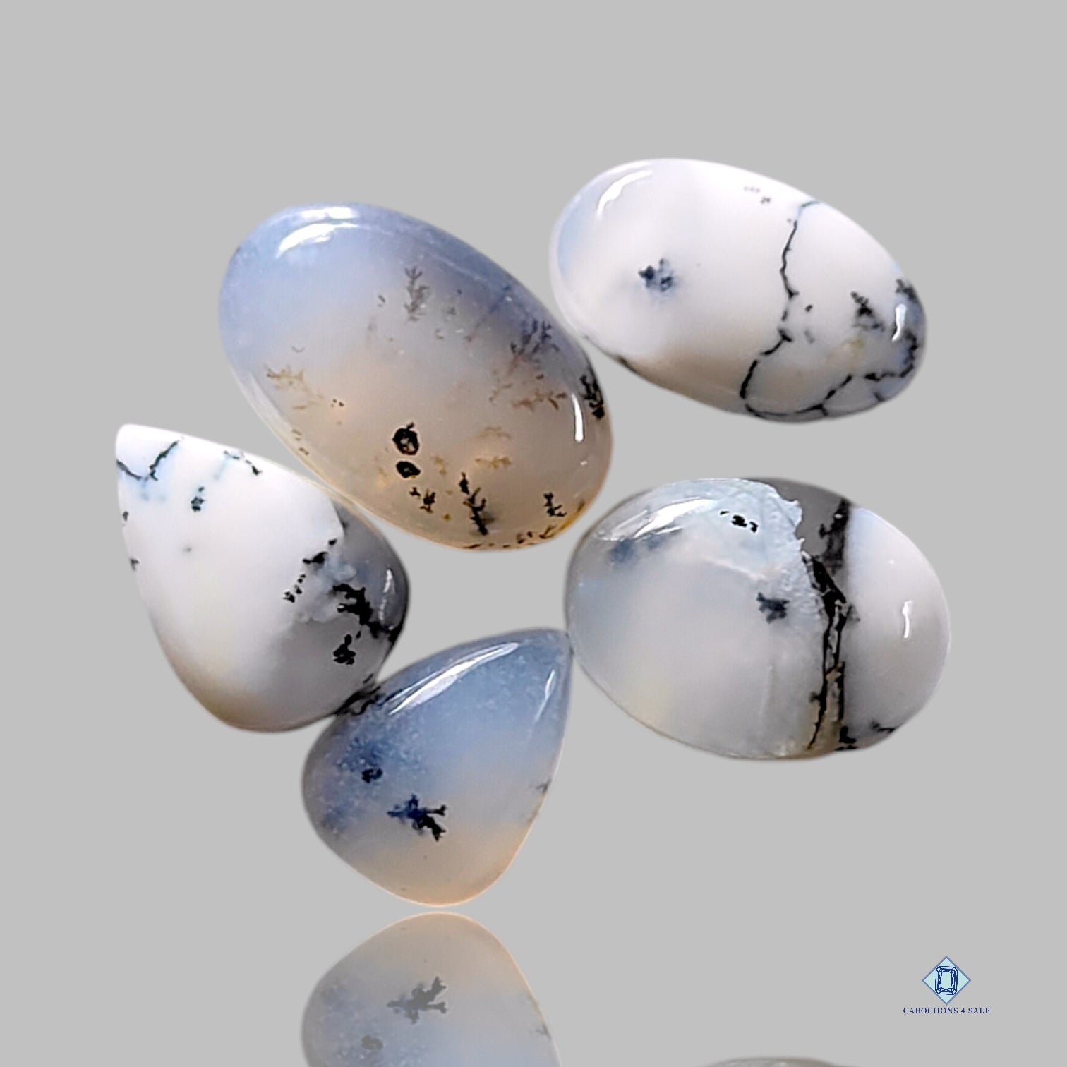 Dendritic Agate