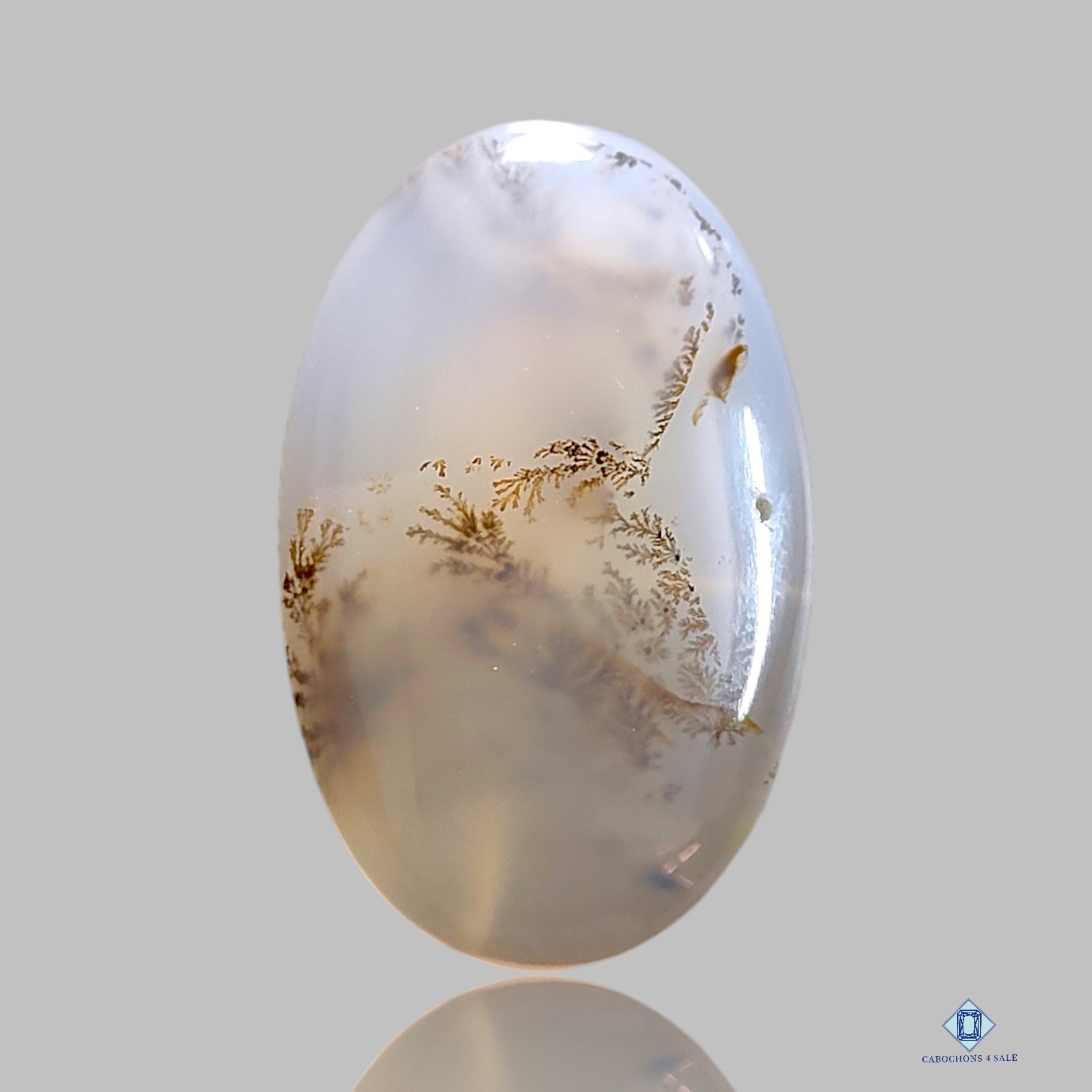 Dendritic Agate