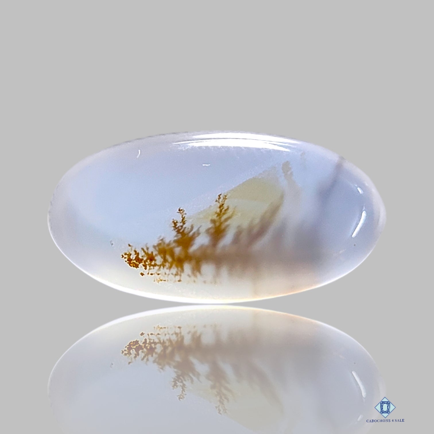 Dendritic Agate