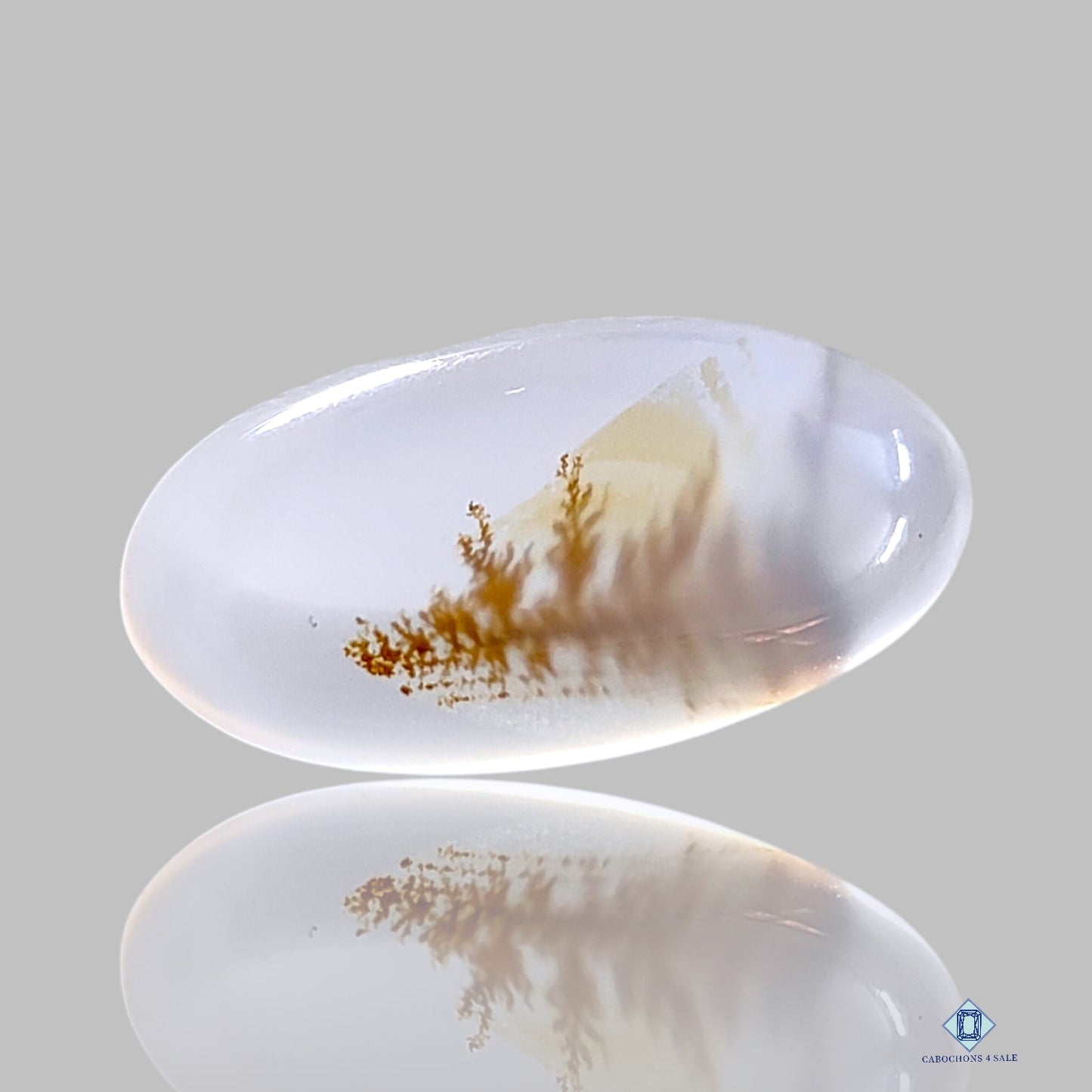 Dendritic Agate Oval Cabochons