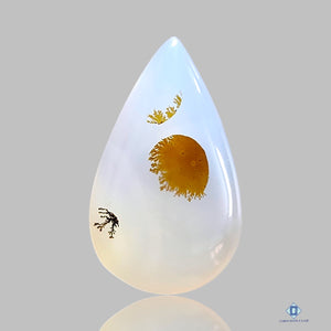 Dendritic Agate Pear Cabochons