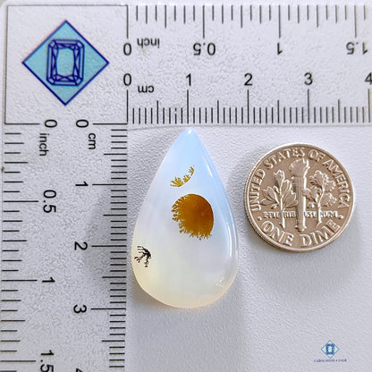 Dendritic Agate Pear Cabochons