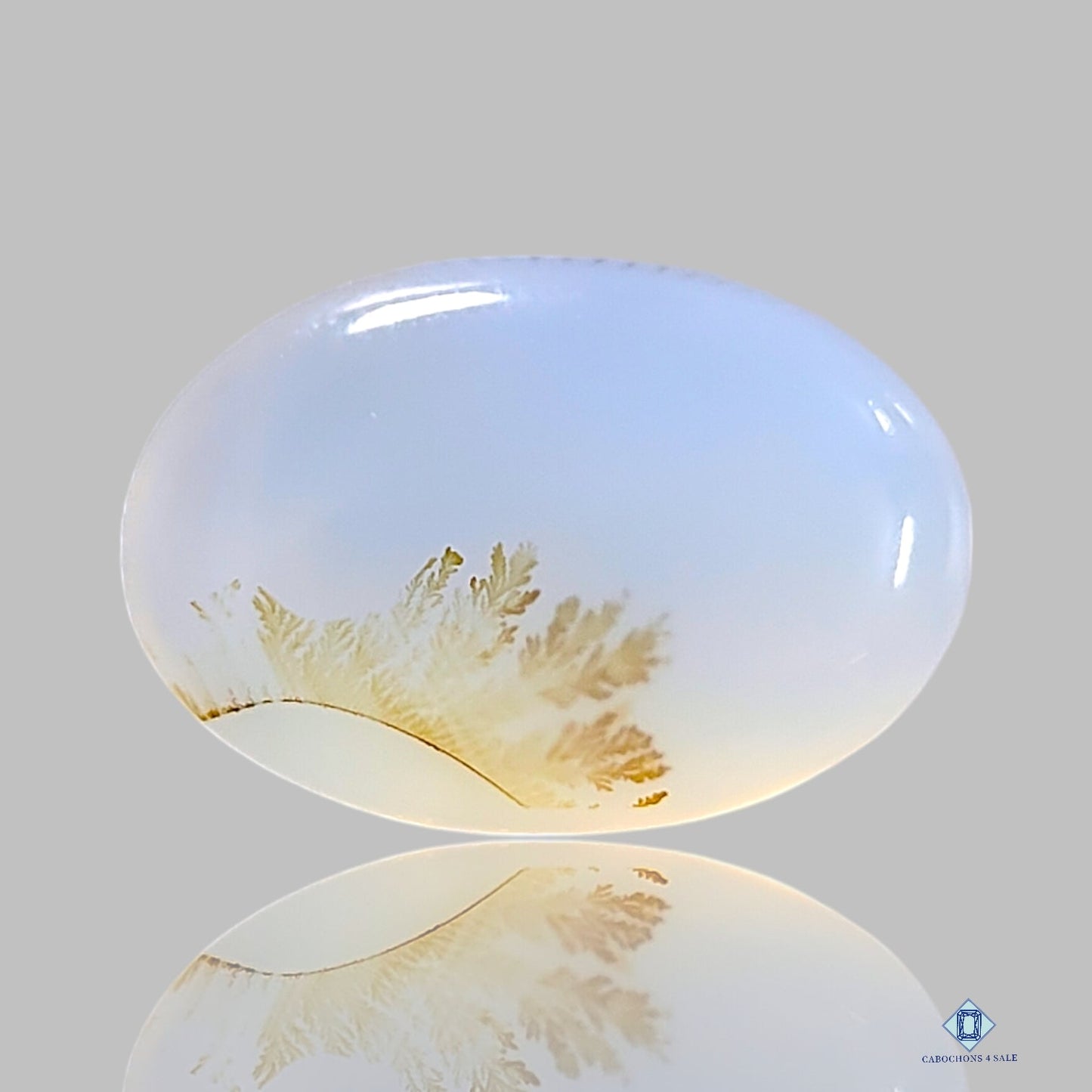 Dendritic Agate