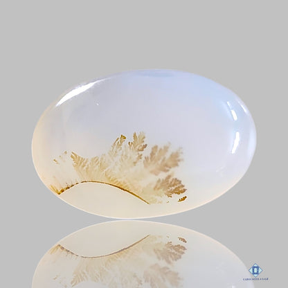 Dendritic Agate Oval Cabochons