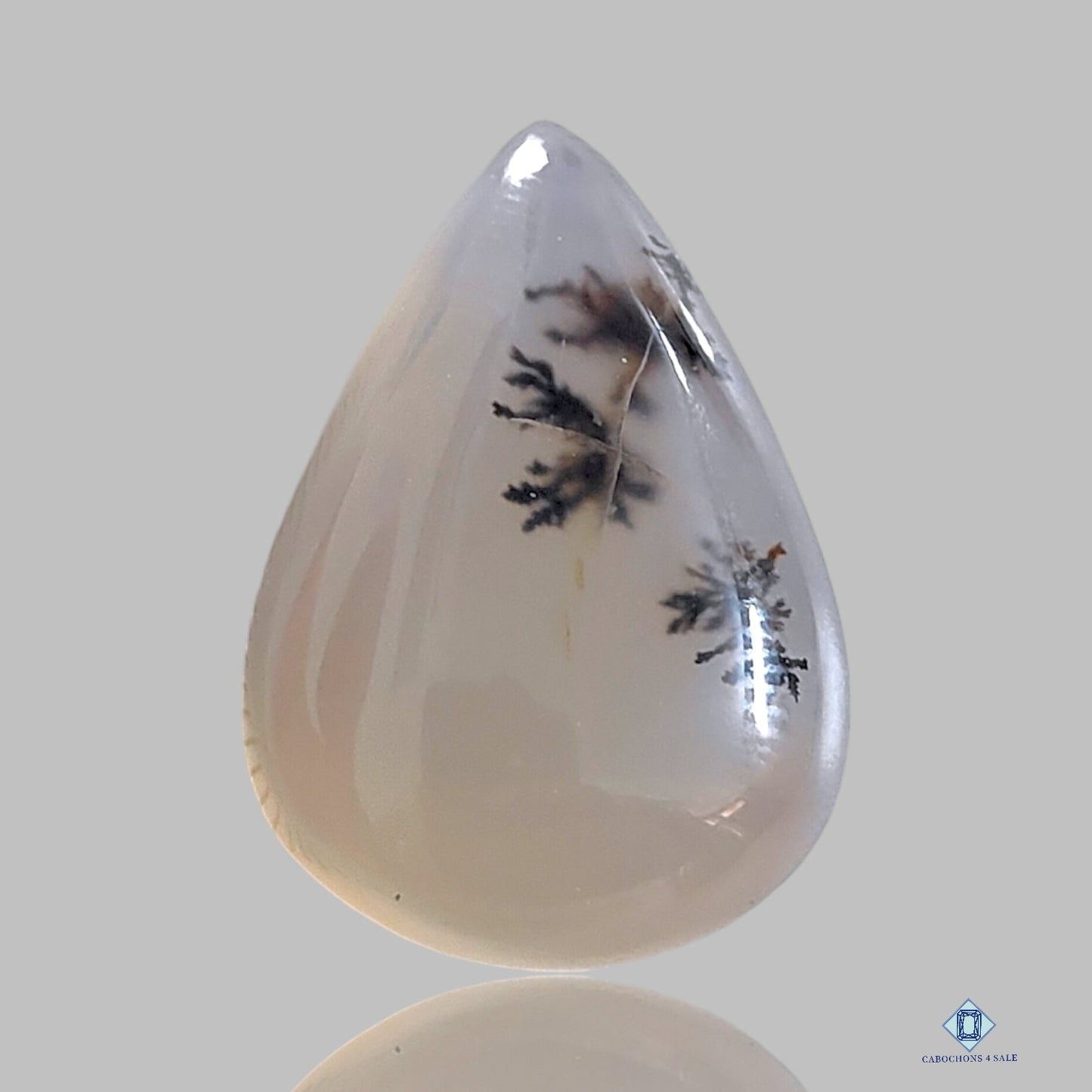 Dendritic Agate